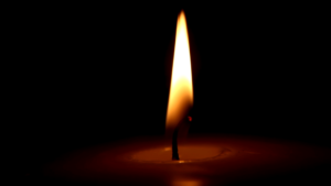 一般社団法人新しい歴史教科書をつくる会